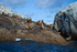 Stellar Sea Lions - Prince Rupert Canada -1261