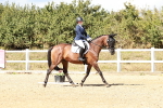 SBM_012014