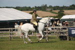 SBM_09544