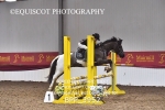 CLASS 29 PONY Stepping Stones 128/ 138cms Handicap portfolio