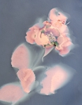 Rose #2