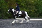 WJ5_8707