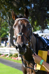 110725-Race 7-Secret Beach-0615