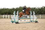 SBM_008682