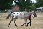 WJ6_7816