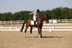 SBM_005728