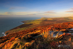 The West Coast from Cronk Ny Arrey Laa
