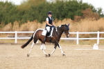 SBM_018685
