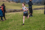 Cunswick U13-81