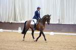 SBM_000991