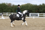 SBM_002209