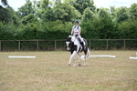 WJ6_5417