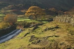 Little Langdale