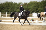 SBM_003451