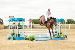 SBM_017773