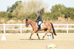 SBM_016975