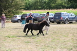 WJ6_7040
