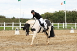 SBM_003543
