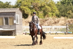 SBM_001473