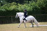 WJ6_3342