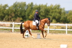 SBM_011953