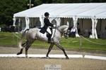 316-D'ARTAGNAN-Tiana_Coudray-WEDTrotUp+DR portfolio