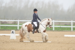 SBM_000877