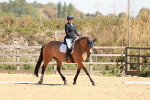 SBM_011190