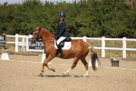SBM_013744