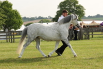 SBM_00545