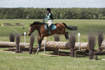 BVHT 140517  IXC -535