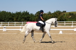 SBM_012525