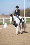 SBM_002007
