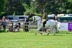 SBM_03774