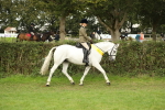 SBM_75349