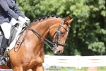 265-Abby.Bannell-Royal.Dalliance portfolio