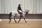 SBM_001921