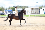 SBM_10740