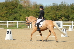 SBM_001880