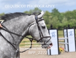 BPP_2272