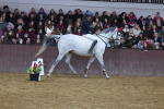 SBM_003797