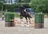 BPP_1538