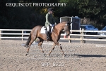 BPP_8720