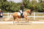 SBM_008790