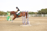 SBM_002186