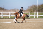 SBM_001986