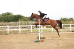 SBM_023928