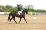 SBM_006344