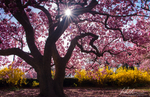 DSC_6857-Edit