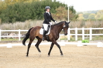 SBM_018176